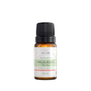 Óleo Essencial Melaleuca: Purificação e Equilíbrio para Pele e Mente
